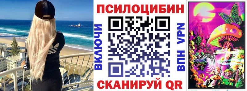 Псилоцибиновые грибы мухоморы  цена наркотик  Долгопрудный 