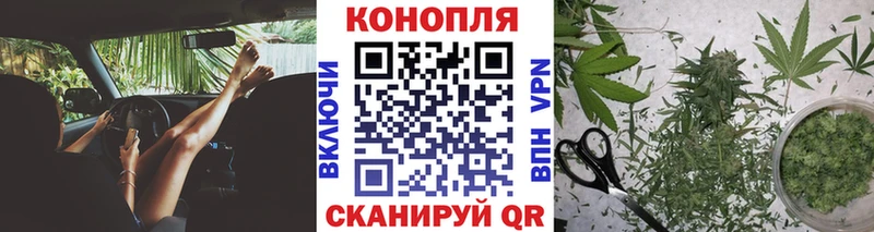 хочу   Долгопрудный  Бошки Шишки OG Kush 